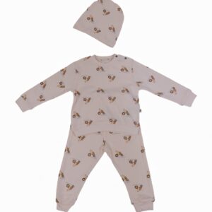 Organic Newborn 3pcs Set (top-pants-hat)